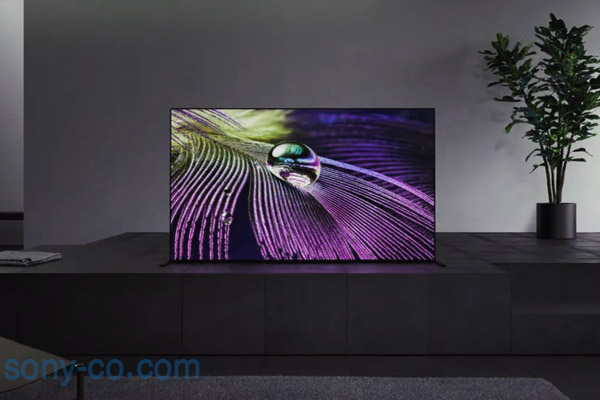 بهترین مدل تلویزیون سونی 43 اینچ چه ویژگی و قیمتی دارد؟ آیا امکان خرید قسطی وجود دارد؟ حضوری یا اینترنتی؟